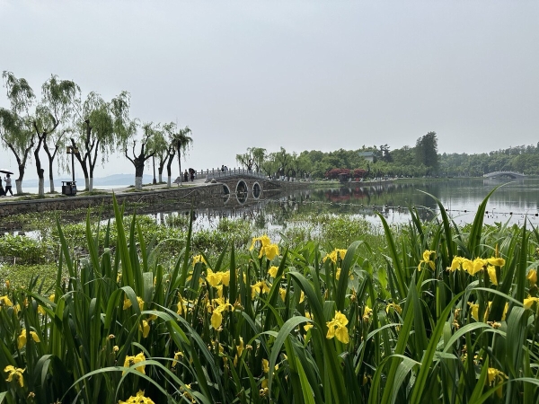 На каких машинах гоняют сами китайцы? Удивитесь, но в топе не только бренды из КНР! На каких машинах гоняют сами китайцы? Удивитесь, но в топе не только бренды из КНР!