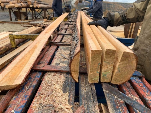 Минлесхоз рассказал о ценах на древесину для строительства жилья в Беларуси Минлесхоз рассказал о ценах на древесину для строительства жилья в Беларуси