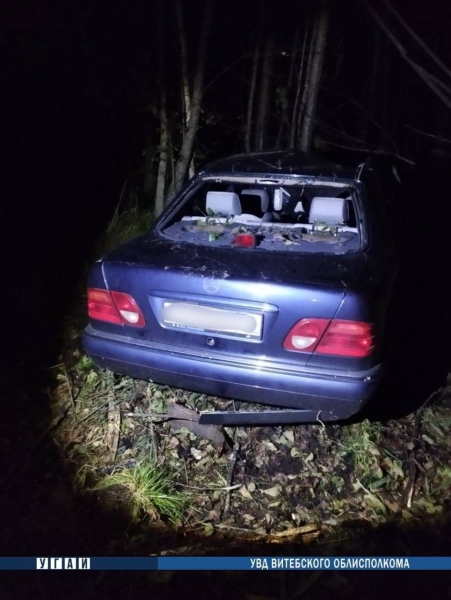 Под Витебском Mercedes столкнулся с диким животным Под Витебском Mercedes столкнулся с диким животным