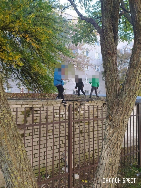 Читатель: Родители, следите за тем, чем занимаются ваши дети!
Читатель: Родители, следите за тем, чем занимаются ваши дети!