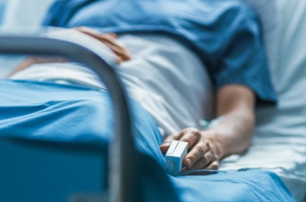 Мама и двое детей отравились съедобными лисичками — в чем причина Мама и двое детей отравились съедобными лисичками — в чем причина