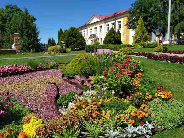 Полюбуйтесь на цветочный океан Видомли (агрогородок в Брестской области) Полюбуйтесь на цветочный океан Видомли (агрогородок в Брестской области)