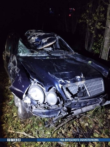 Под Витебском Mercedes столкнулся с диким животным Под Витебском Mercedes столкнулся с диким животным