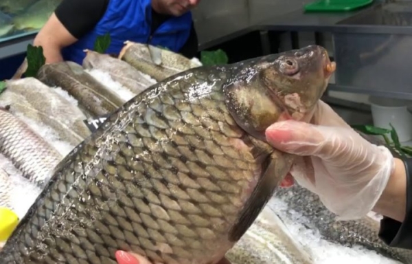 Какую живую рыбу белорусы покупают чаще всего Какую живую рыбу белорусы покупают чаще всего