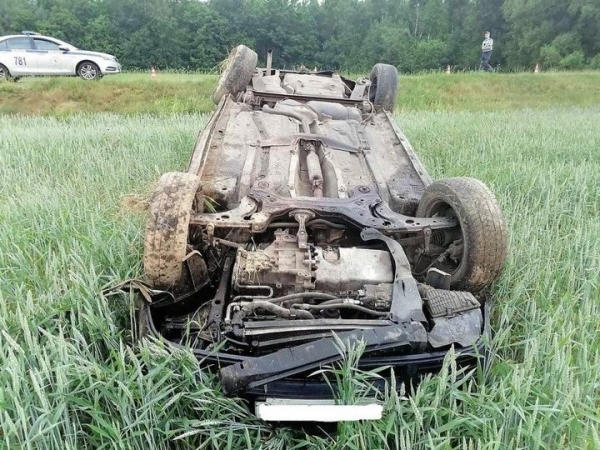 Мать ребенка во время движения решила поднять игрушку - Volkswagen вылетел в кювет Мать ребенка во время движения решила поднять игрушку - Volkswagen вылетел в кювет