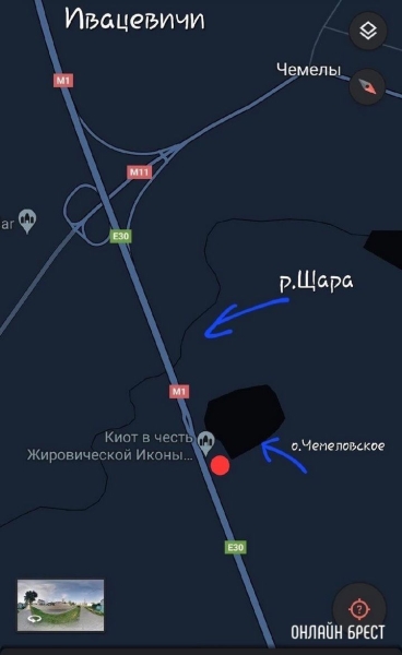 Читатель: Пропала кошка. Ситуация произошла ночью 7 июля на автодороге Минск-Брест
             
                Читатель: Пропала кошка. Ситуация произошла ночью 7 июля на автодороге Минск-Брест