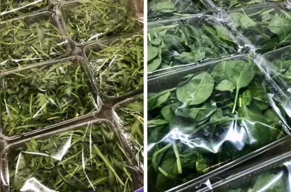 Через «Козловичи» везли 20 тонн зелени по недействительным документам Через «Козловичи» везли 20 тонн зелени по недействительным документам