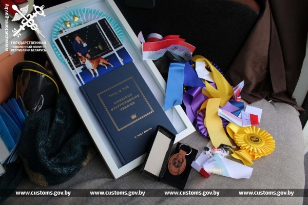 Собак и котов редких пород под видом метисов ввезли в Беларусь из Польши Собак и котов редких пород под видом метисов ввезли в Беларусь из Польши