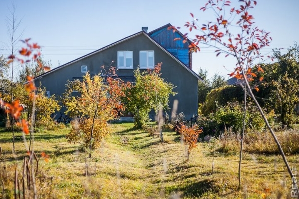 Сколько сейчас стоит вскопать огород на даче в Беларуси? Сколько сейчас стоит вскопать огород на даче в Беларуси?