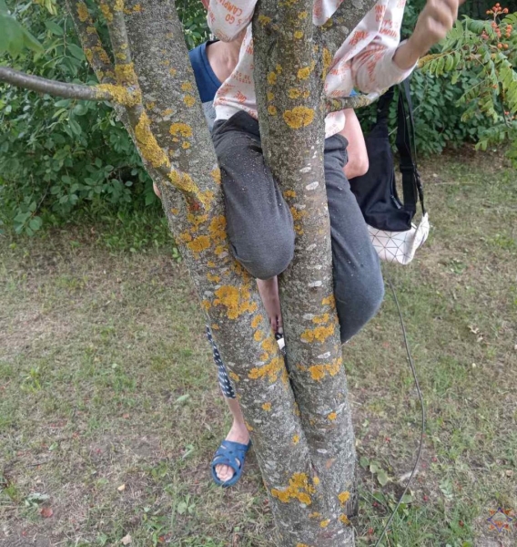 Нога мальчика застряла в дереве: помогли спасатели Нога мальчика застряла в дереве: помогли спасатели