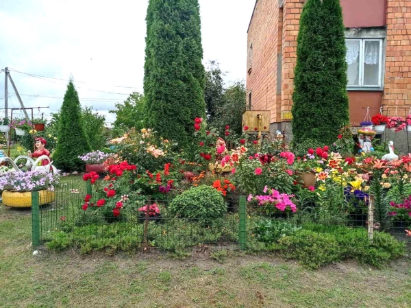 Посмотрите, какую клумбу в Брестской области обустроила семья Посмотрите, какую клумбу в Брестской области обустроила семья