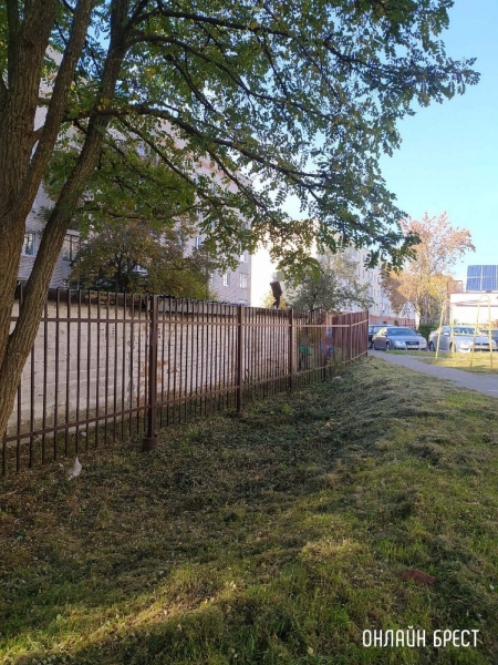 Читатель: Родители, следите за тем, чем занимаются ваши дети!
Читатель: Родители, следите за тем, чем занимаются ваши дети!